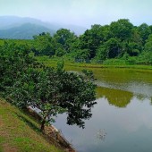 Cần bán 1,4HA khuân viên hòa thiện có nhà sàn có hồ ôm quanh đất thật hiếm có tại Lương Sơn giá vài tỷ.